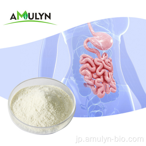 プロバイオティクスパウダーlactobacillus plantarum粉末